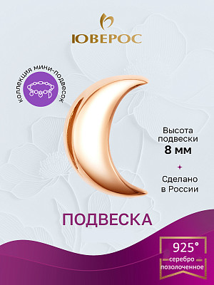 Подвеска сп030878